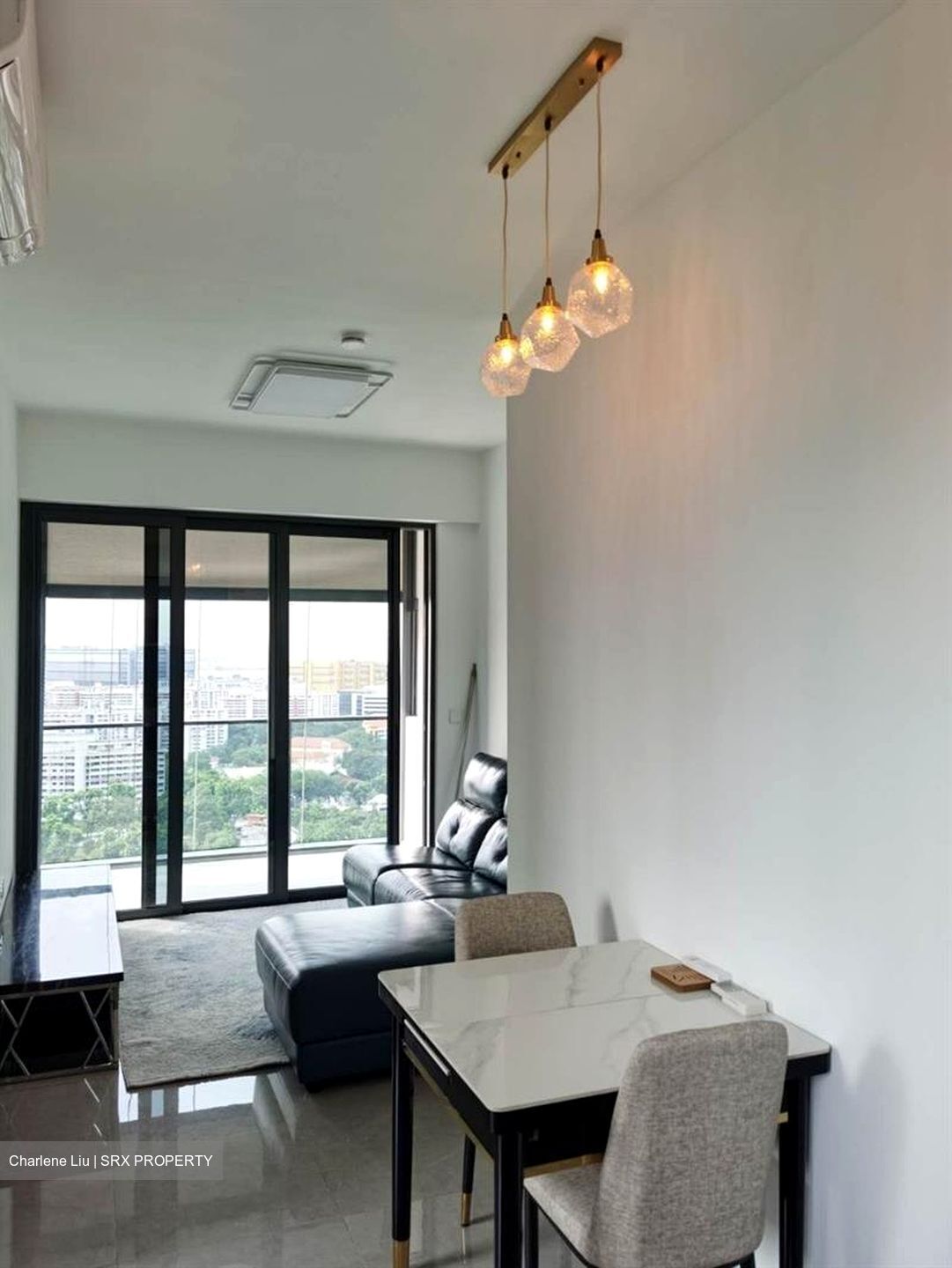 Parc Clematis (D5), Apartment #632279991